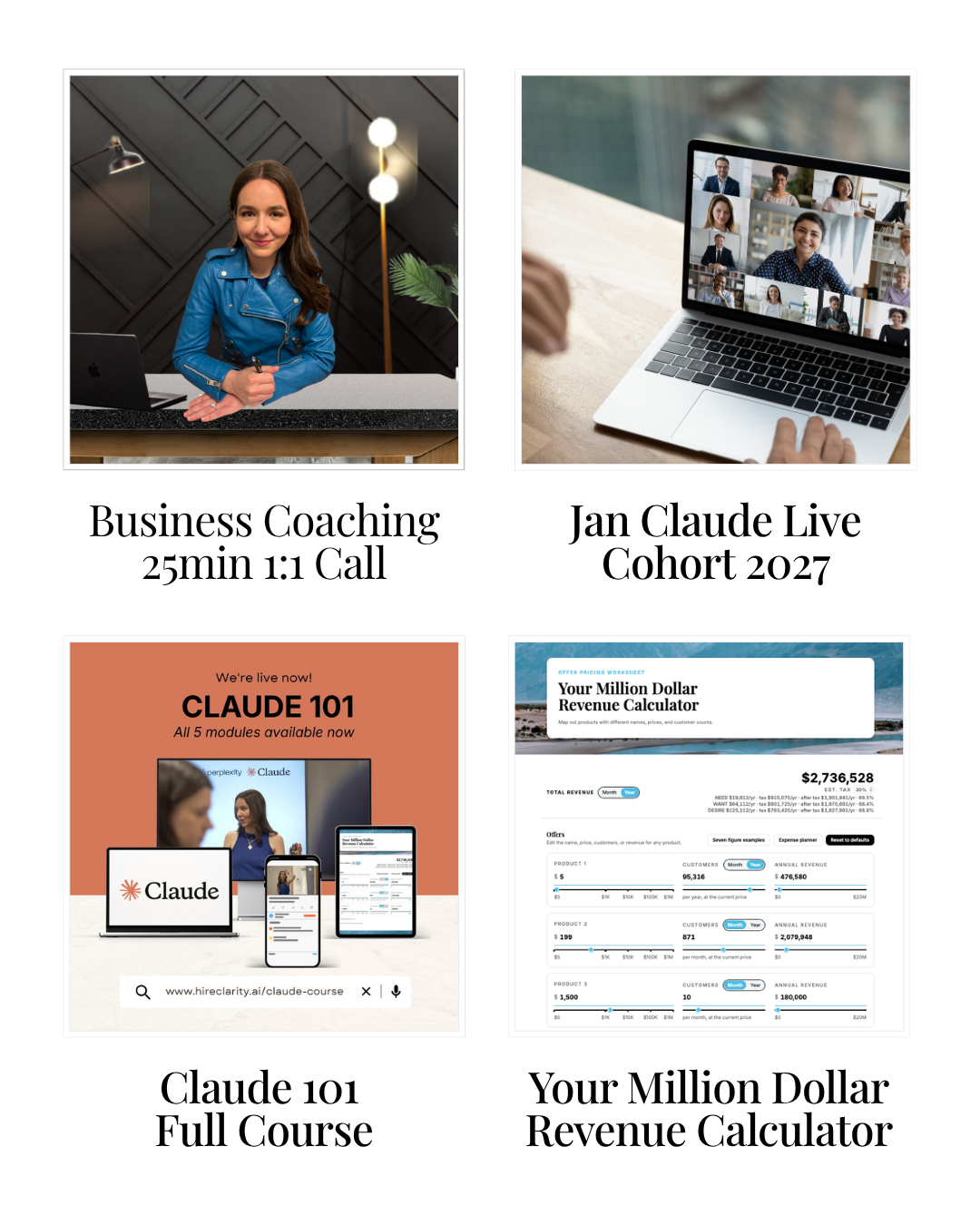 Bundle: Course + Jan Live Training + Calc + 1:1 Biz Coaching preview