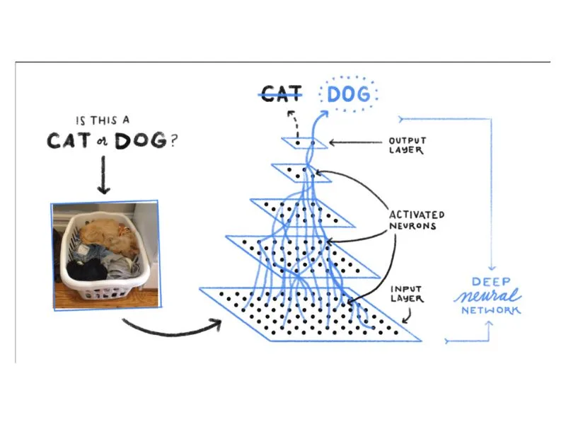 Machine Learning diagram about cat and dog